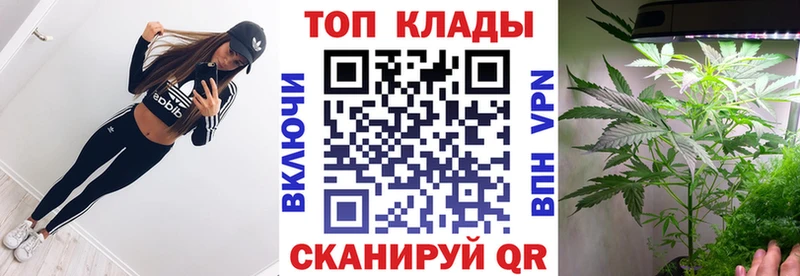 А ПВП Волосово