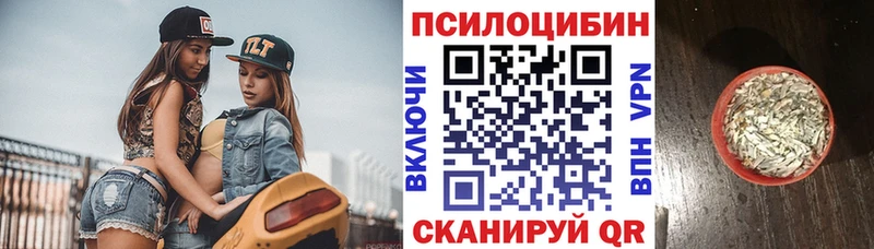 hydra онион  что такое   darknet официальный сайт  Галлюциногенные грибы Magic Shrooms  Волосово 