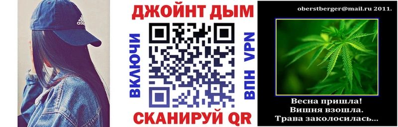 Конопля сатива  Волосово 